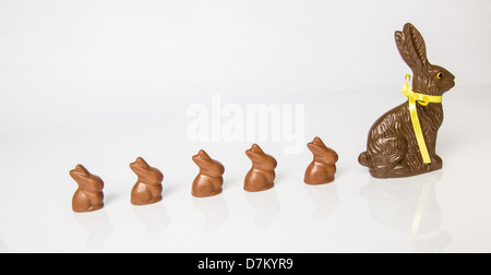 Große Schoko Osterhase mit kleineren Schokohasen hintereinander aufgereiht. Studio Isolated on White mit Reflexion. Teil einer Serie. Stockfoto