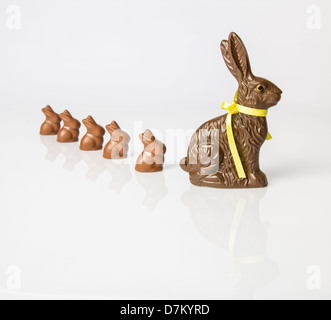 Große Schoko Osterhase mit kleineren Schokohasen hintereinander aufgereiht. Studio Isolated on White mit Reflexion. Teil einer Serie. Stockfoto