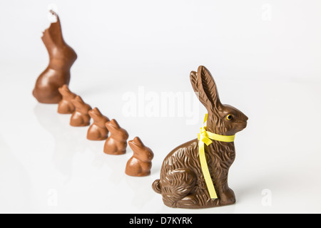 Große Schoko Osterhase mit kleineren Schokohasen hintereinander aufgereiht. Studio Isolated on White mit Reflexion. Teil einer Serie. Stockfoto