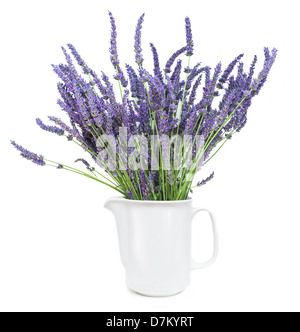 Lavendel Glas frisch Stockfoto