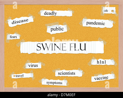 Swine Flu Pinnwand Wort Konzept mit großer Begriffe wie Krankheit, Pandemie H1N1 und vieles mehr. Stockfoto