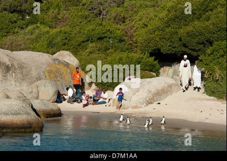 Afrikanische Pinguine und Menschen am Boulders Beach, Cape Peninsula, Südafrika Stockfoto