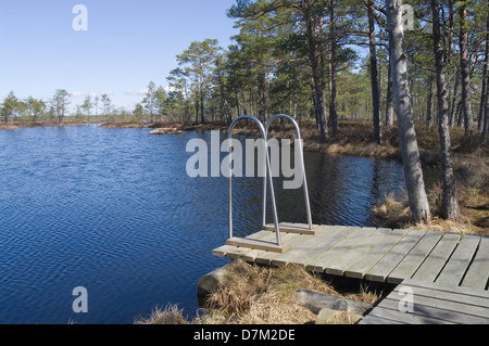 Wanderweg Schwimmbad InTolkuse Moor, Grafschaft Pärnu, Estland, Europa Stockfoto