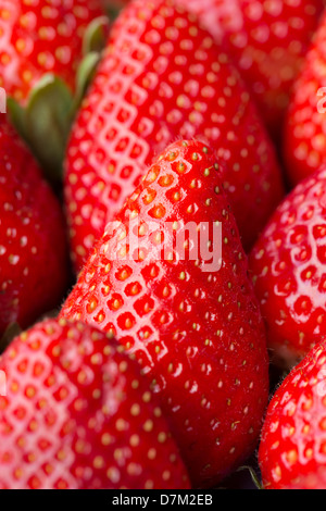 Nahaufnahme von Erdbeeren Stockfoto