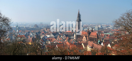 Panorama von Freiburg Im Briesgau mit Freiburger Münster Stockfoto