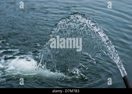 Wasserstrahl aus dem Schlauch Stockfoto