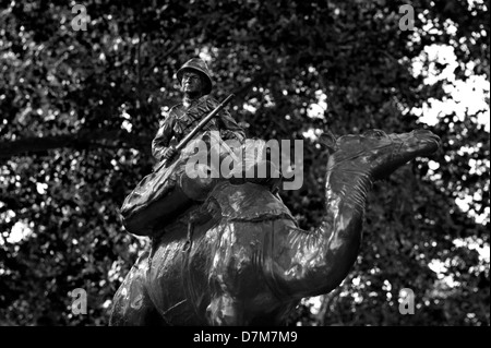 Die Statuen von London, England. Oktober 2012 hier gesehen: Denkmal für die Camel Corps. Stockfoto