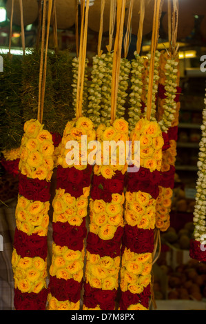 Girlande aus mehreren Farben der Blume Stockfoto