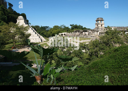 archäologische Stätte von Palenque in Chiapas, Mexiko