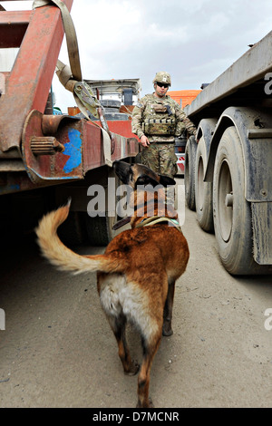 US Air Force Staff Sgt Jonathan Cooper und militärischer Arbeitshund Astra suchen Fahrzeuge für Improvised Explosive Devices 29. April 2013 Bagram Airfield, Afghanistan. Stockfoto