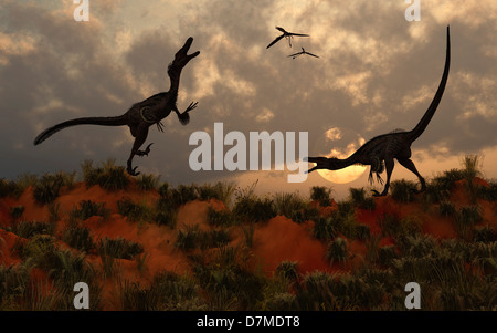 Velociraptor territorialen Streit. Stockfoto