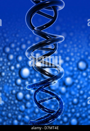 DNA-Molekül, artwork Stockfoto