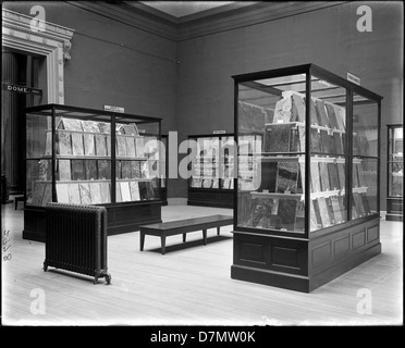 Eine Ausstellung norwegischer und französischer Marmor im Field Museum in Chicago. Die Sammlung hebt die geologische Vielfalt und Schönheit des Marmors aus verschiedenen Regionen hervor. Stockfoto