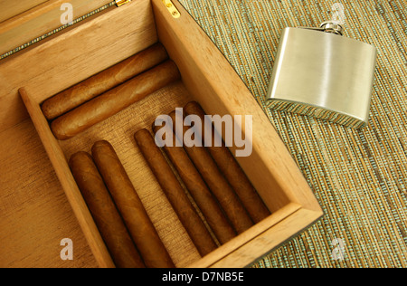 Zigarren im Humidor geöffnet. Flachmann. Close-up. Stockfoto