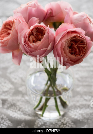 Rosa Pfingstrosen in einer vase Stockfoto