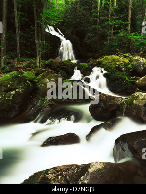 USA, North Carolina, Great Smoky Mountains Nationalpark, fällt Maus Creek kaskadierende am Big Creek. Stockfoto