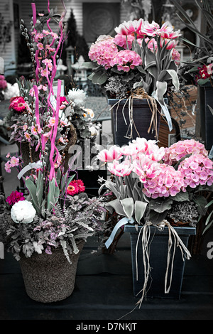 Einige rosa Feder Blumenarrangements zum Verkauf an den Floristen Stockfoto
