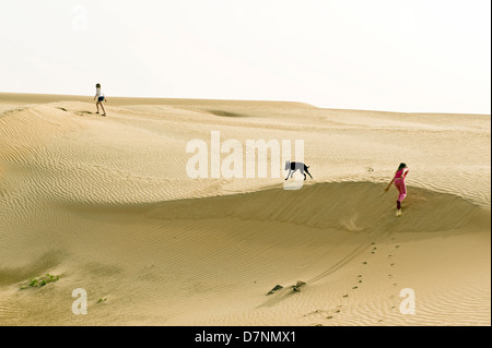 Eine typische "Wüste Hund", ein schwarzer Saluki überqueren und die Kinder spielen auf Sanddünen in der Wüste, Abu Dhabi Stockfoto