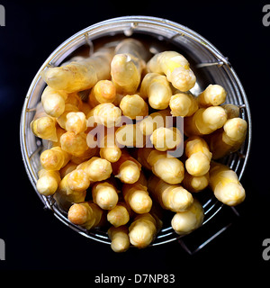 Weißer Spargel in Metall Dampfgarer auf schwarzem Hintergrund Stockfoto