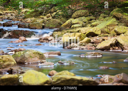 Fluss-Hügel in einem Tal des Hohen Venn im Herbst lange Exposition erschossen. Stockfoto