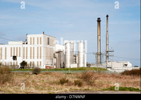 Davidstow Käserei North Cornwall England UK Stockfoto