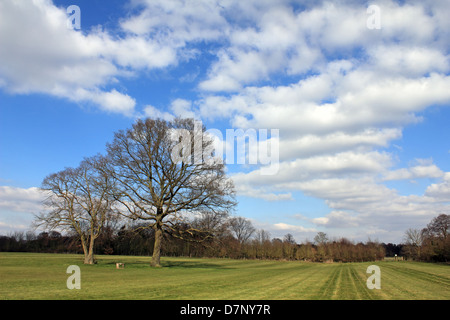 Nonsuch Park, Surrey, England, UK. Stockfoto