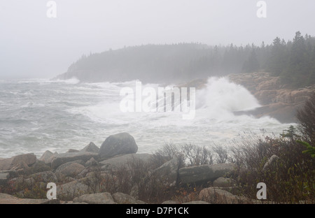 Hurrikan Sandy im Acadia National Park, Maine. Stockfoto