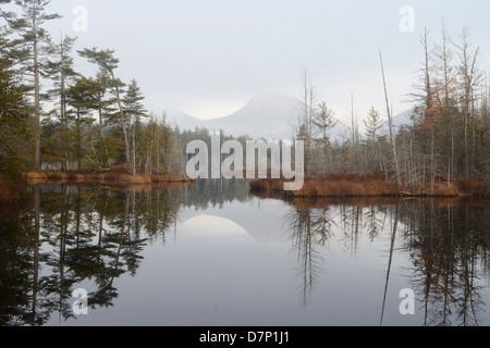 Nebligen Morgen auf Doubletop Berg im Baxter State Park in Maine. Stockfoto