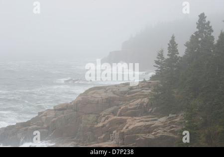 Hurrikan Sandy im Acadia National Park, Maine. Stockfoto