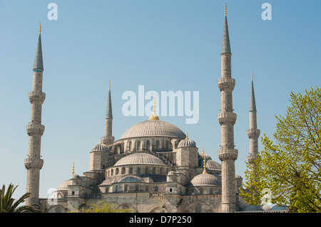 Blick auf die berühmte blaue Moschee Sultan Ahmet Cami in Istanbul Türkei Stockfoto