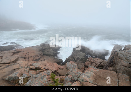 Hurrikan Sandy im Acadia National Park, Maine. Stockfoto