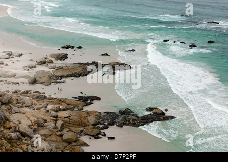 Long Beach gesehen von Chapmans Peak Drive, Noordhoek, Kapstadt, Südafrika Stockfoto