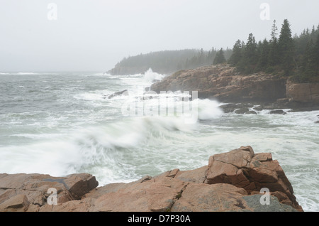 Hurrikan Sandy im Acadia National Park, Maine. Stockfoto