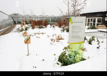 SCHNEE BEDECKTE LEHRE GARTEN AM RHS WISLEY GÄRTEN IN SURREY; ENGLAND. Stockfoto