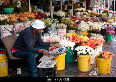 Cape Malay Blumenverkäuferin auf Trafalgar Place, Kapstadt, Südafrika Stockfoto