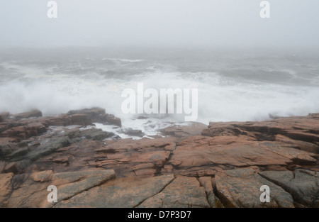 Hurrikan Sandy im Acadia National Park, Maine. Stockfoto