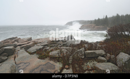 Hurrikan Sandy im Acadia National Park, Maine. Stockfoto