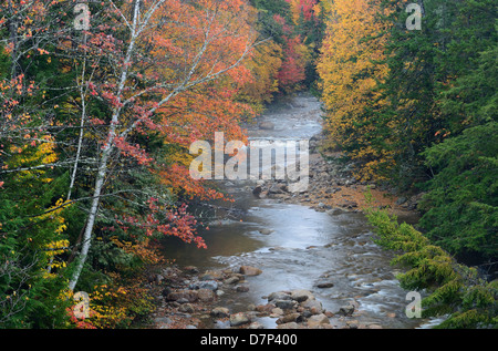 Mad River, Herbstlaub, Waterville Valley, New Hampshire. Stockfoto