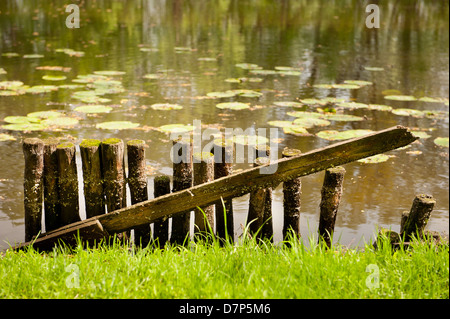 gebrochene Holzzaun am Teich-Ufer in Warschau Stockfoto