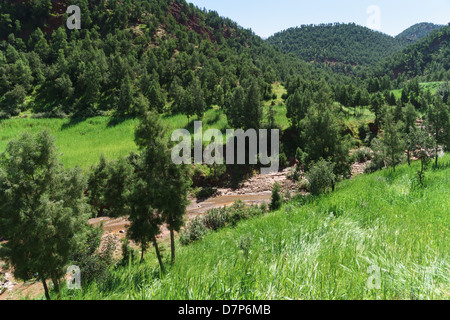 Marokko, Marrakesch - Ourika Tal, Stockfoto