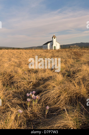 Dies ist die alte Kirche von McDougall, Morley, Alberta, Kanada Stockfoto