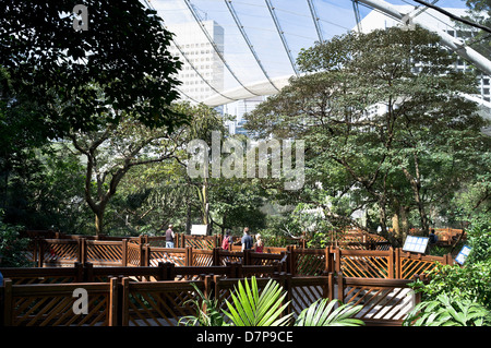 dh Hong Kong Park CENTRAL HONG KONG Touristen innen Edward Youde Aviary Stockfoto