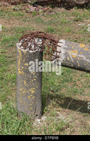 beschädigte Beton Telegrafenmast im Feld in Landschaft Stockfoto