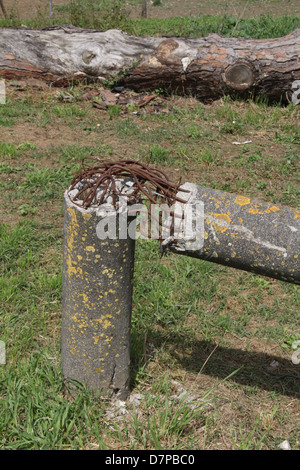 beschädigte Beton Telegrafenmast im Feld in Landschaft Stockfoto