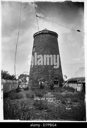 Die alte Windmühle, Nimitybelle Stockfoto