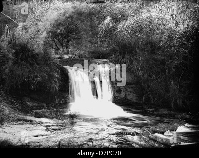 Schwarzweißfoto, das den Blick über die Leura Falls in Katoomba, Blue Mountains, Australien, festnimmt. Stockfoto