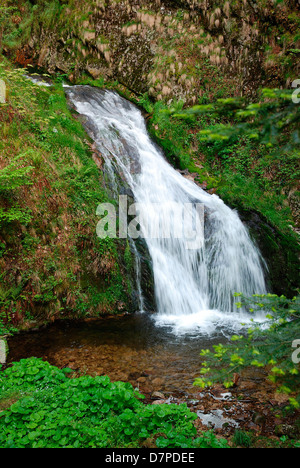 Alle Heiligen Wasserfälle im Schwarzwald in Oppenau, Allerheiligen-Wasserfall Im Schwarzwald Bei Oppenau Stockfoto