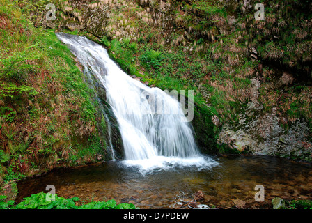 Alle Heiligen Wasserfälle im Schwarzwald in Oppenau, Allerheiligen-Wasserfall Im Schwarzwald Bei Oppenau Stockfoto