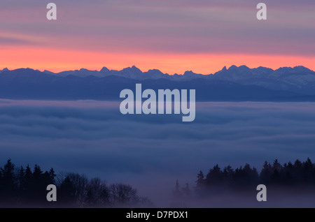 Blick vom Hoechsten in Oberschwaben, die Allgäuer Alpen, in Nebel gehüllten Seebecken über Stockfoto