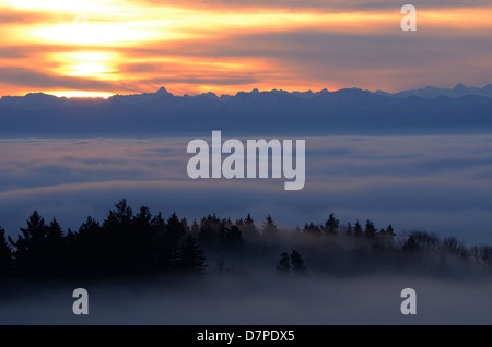 Blick vom Hoechsten in Oberschwaben, die Allgäuer Alpen, in Nebel gehüllten Seebecken über Stockfoto